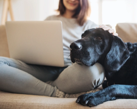 mujer joven sentada en el sofá con un ordenador portátil, mientras acaricia a un perro negro.