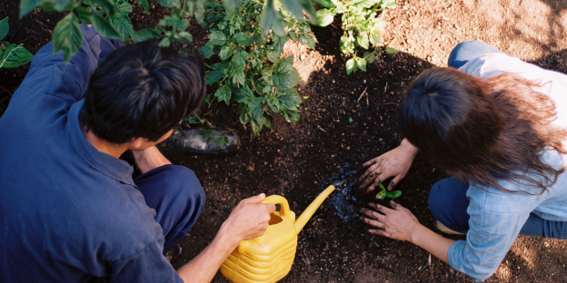 pareja-sembrando-planta-jardin.webp dos personas siembran una planta pequeña en tierra. una riega con una regadera amarilla cerca de un arbusto y una maceta marrón.